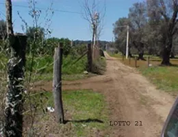 Aste giudiziarie immobiliari online - 5.0