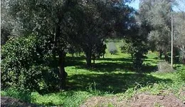 Aste giudiziarie immobiliari online - 2.0