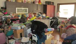 Aste giudiziarie immobiliari online - 2.0