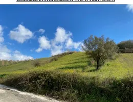 Aste giudiziarie immobiliari online - 10.0