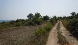 Aste giudiziarie immobiliari online - 3.0