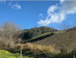 Aste giudiziarie immobiliari online - 5.0