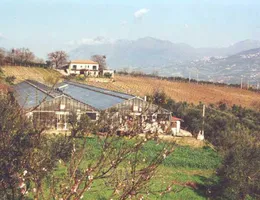 Aste giudiziarie immobiliari online - 11.0