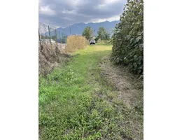 Aste giudiziarie immobiliari online - 11.0