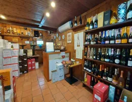 Aste giudiziarie immobiliari online - 12.0