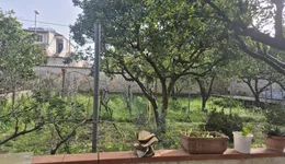 Aste giudiziarie immobiliari online - 12.0