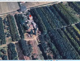 Aste giudiziarie immobiliari online - 10.0