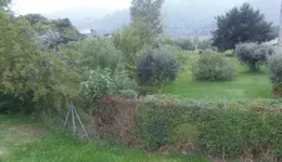 Aste giudiziarie immobiliari online - 12.0