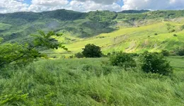 Aste giudiziarie immobiliari online - 8.0