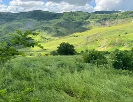 Aste giudiziarie immobiliari online - 5.0