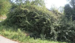 Aste giudiziarie immobiliari online - 10.0