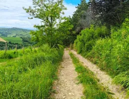 Aste giudiziarie immobiliari online - 5.0