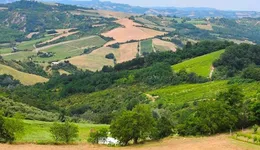 Aste giudiziarie immobiliari online - 4.0