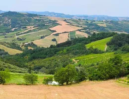 Aste giudiziarie immobiliari online - 2.0