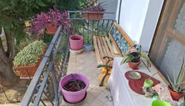 Aste giudiziarie immobiliari online - 8.0