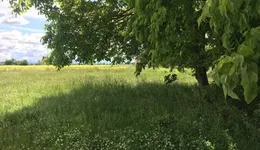 Aste giudiziarie immobiliari online - 7.0