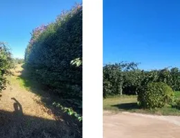 Aste giudiziarie immobiliari online - 12.0