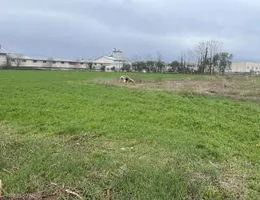 Aste giudiziarie immobiliari online - 6.0