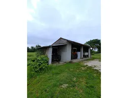 Aste giudiziarie immobiliari online - 2.0