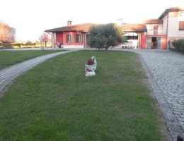 Aste giudiziarie immobiliari online - 2.0