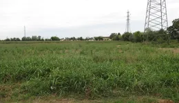 Aste giudiziarie immobiliari online - 9.0