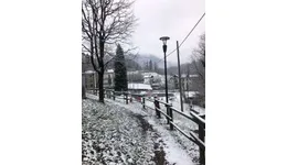 Aste giudiziarie immobiliari online - 4.0