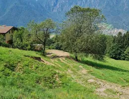 Aste giudiziarie immobiliari online - 11.0