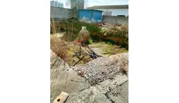 Aste giudiziarie immobiliari online - 11.0