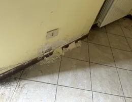 Aste giudiziarie immobiliari online - 4.0