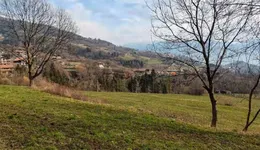 Aste giudiziarie immobiliari online - 6.0