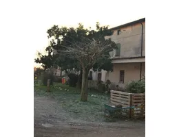 Aste giudiziarie immobiliari online - 5.0