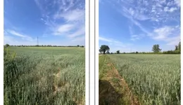 Aste giudiziarie immobiliari online - 2.0
