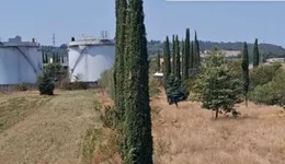 Aste giudiziarie beni immateriali online - 9.0