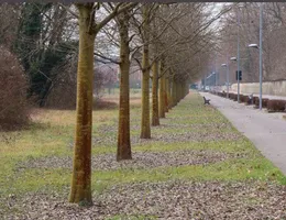 Aste giudiziarie immobiliari online - 6.0