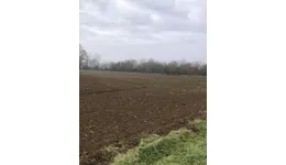 Aste giudiziarie immobiliari online - 11.0