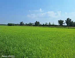 Aste giudiziarie immobiliari online - 8.0