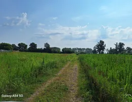 Aste giudiziarie immobiliari online - 9.0