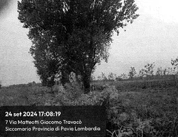 Aste giudiziarie immobiliari online - 4.0