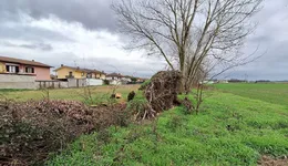 Aste giudiziarie immobiliari online - 4.0