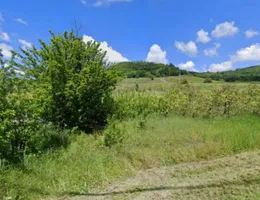 Aste giudiziarie immobiliari online - 9.0