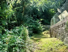 Aste giudiziarie immobiliari online - 4.0