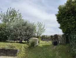 Aste giudiziarie immobiliari online - 11.0