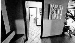 Aste giudiziarie immobiliari online - 1.0