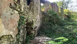 Aste giudiziarie immobiliari online - 11.0