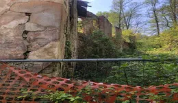 Aste giudiziarie immobiliari online - 10.0