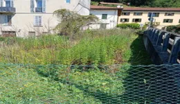 Aste giudiziarie immobiliari online - 12.0