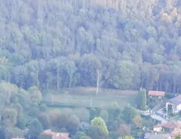 Aste giudiziarie immobiliari online - 5.0