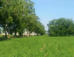 Aste giudiziarie immobiliari online - 2.0