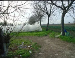 Aste giudiziarie immobiliari online - 4.0