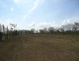 Aste giudiziarie immobiliari online - 5.0